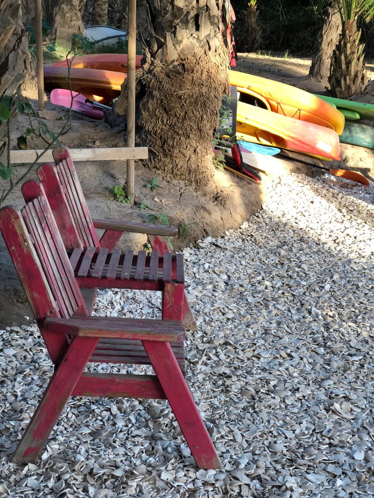 San Ignacio, BCS TraceyDelaplainMD.com